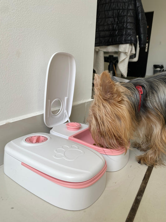 Comedero para mascota con temporizador