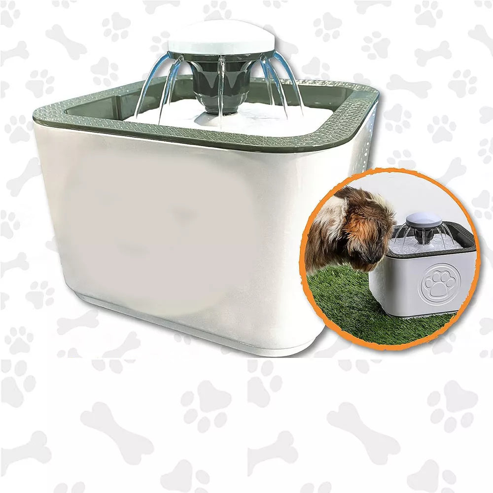 Fuente de agua para tu mascota